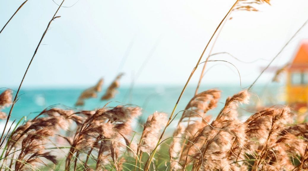 Representa la calma de este domingo.