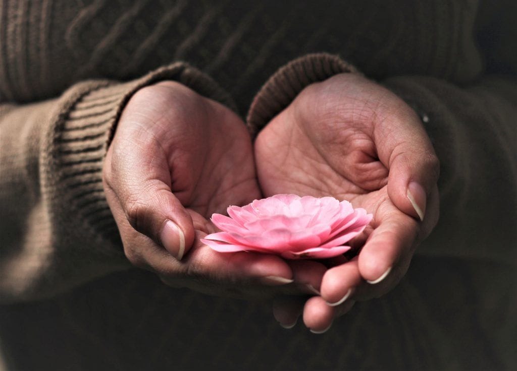 Manos entregando una flor.