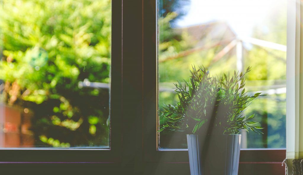 Sol tras la ventana
